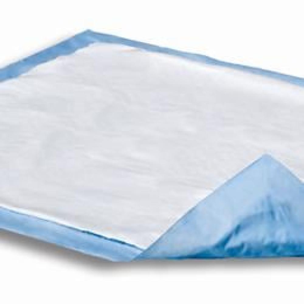 Image for product - Dri-Sorb Underpads Image for product - Dri-Sorb Underpads
